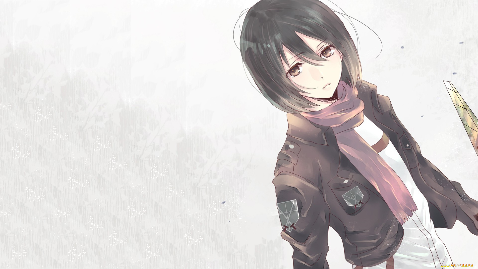 , shingeki no kyojin, attack, on, titan, anime, mikasa, ackerman